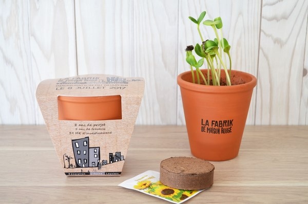 Kit de plantation Terre cuite 10 cm - 4