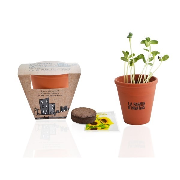 Kit de plantation Terre cuite 10 cm