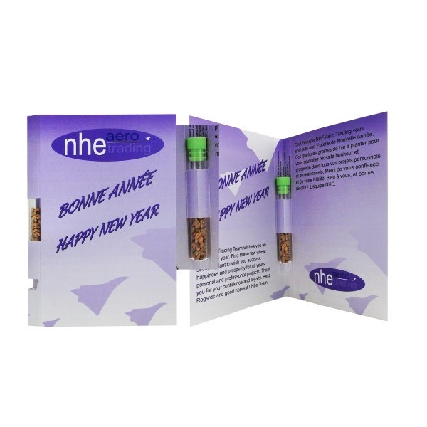 La Graine Postale en papier recyclé -