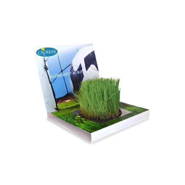 Carte Jardin à faire pousser Balloj