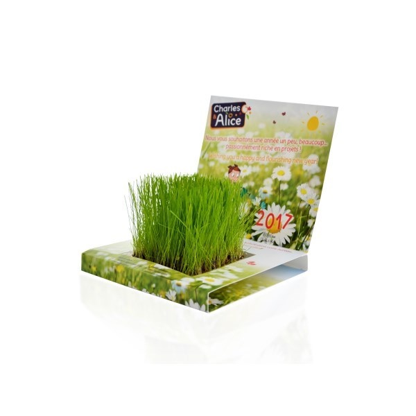 Carte Jardin à faire pousser Balloj -