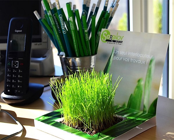 Carte Jardin à faire pousser Balloj -