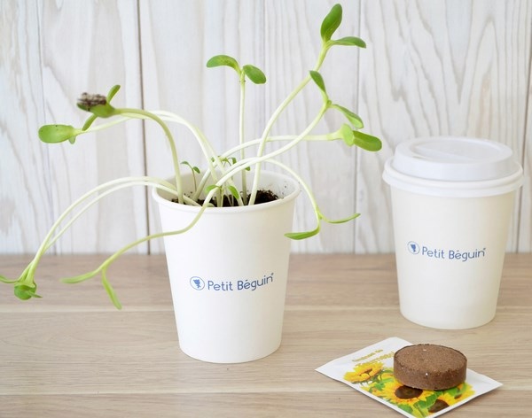 Kit de plantation Pot Carton - 6 cm - 2