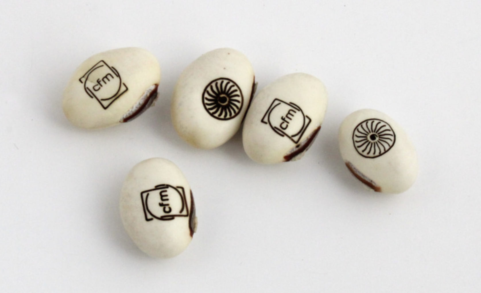 Kit de plantation Pot Carton - 6 cm - 4