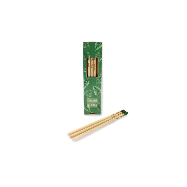 Coffret 3 crayons de couleur à graines mine graphite - 3