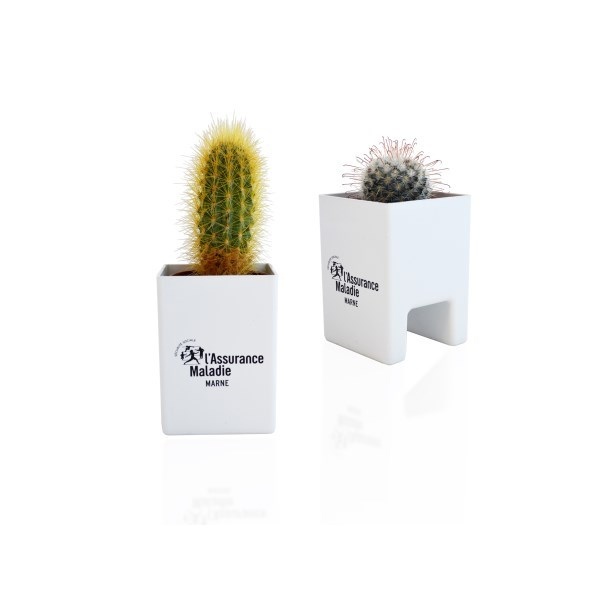 Le Pot'Ordi avec plante dépolluante - 4