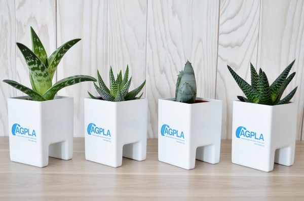 Le Pot'Ordi avec plante dépolluante - 7