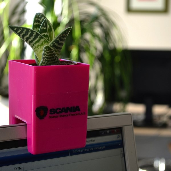 Le Pot'Ordi avec plante dépolluante - 8