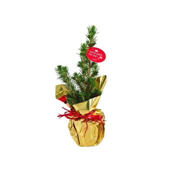 Sapin de nôel en pot avec étiquette