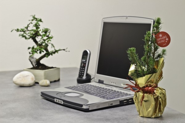 Sapin de nôel en pot avec étiquette -