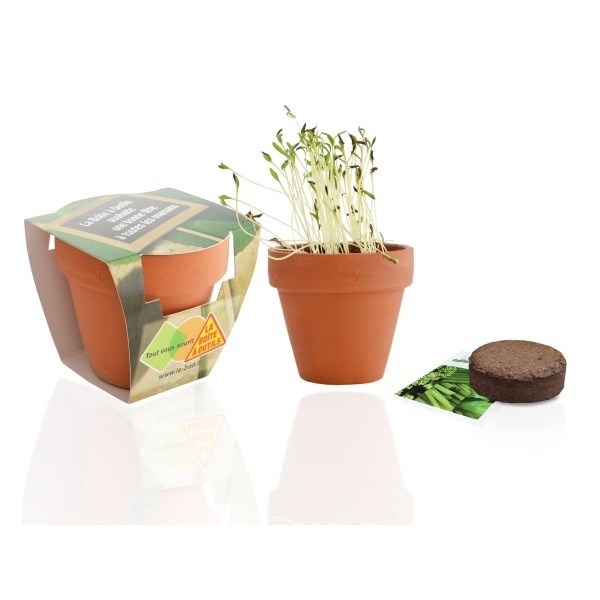 Kit de plantation Terre cuite 9 cm