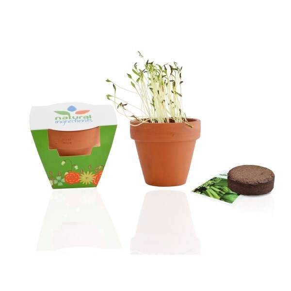 Kit de plantation Terre cuite 9 cm - 2