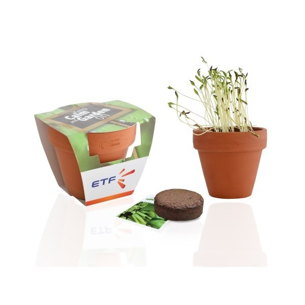 Kit de plantation Terre cuite 9 cm - 3