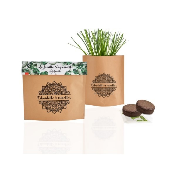 Kit de plantation Pot Kraft Pop-up - 2