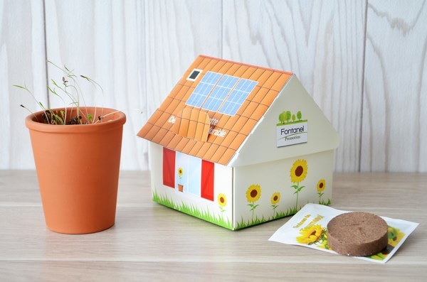 Maisonnette Développement Durable - kit de plantation - 1