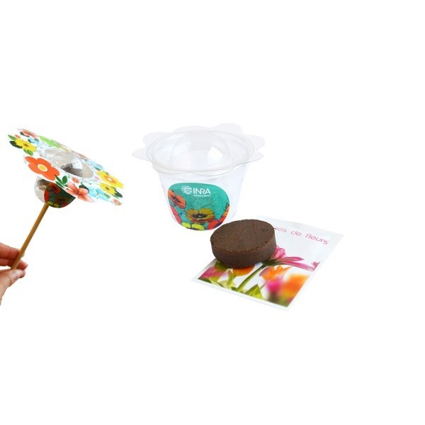 Tige Florale - Kit de plantation