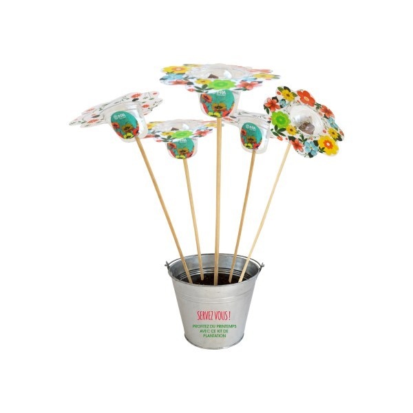 Tige Florale - Kit de plantation -
