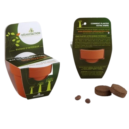 Kit de plantation de graines bio - 3