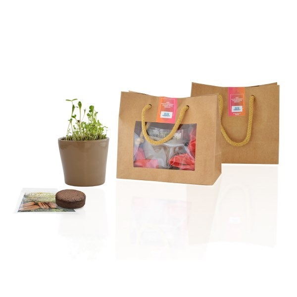 Pochon en Kraft semis avec pot -