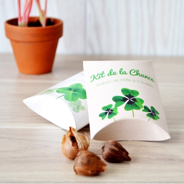 Berlingot Trèfle à 4 feuilles - 2