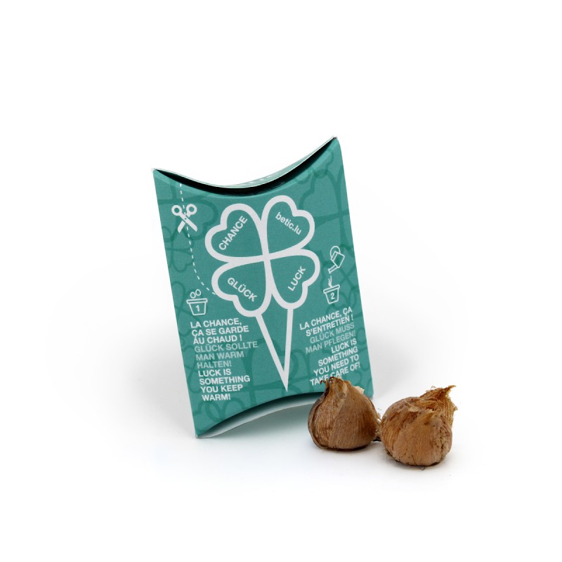 Berlingot Trèfle à 4 feuilles