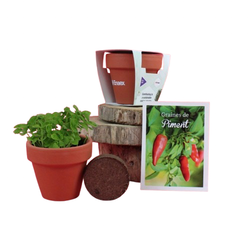 Kit de plantation terre cuite - 3