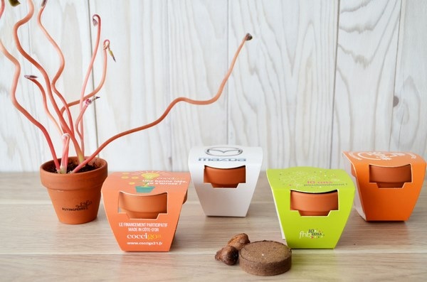 Kit de plantation terre cuite - 2