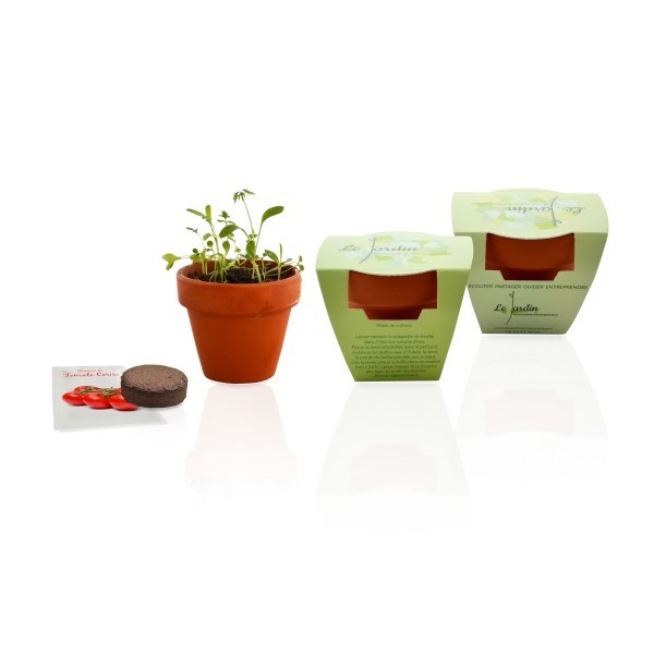 Kit de plantation terre cuite - 3