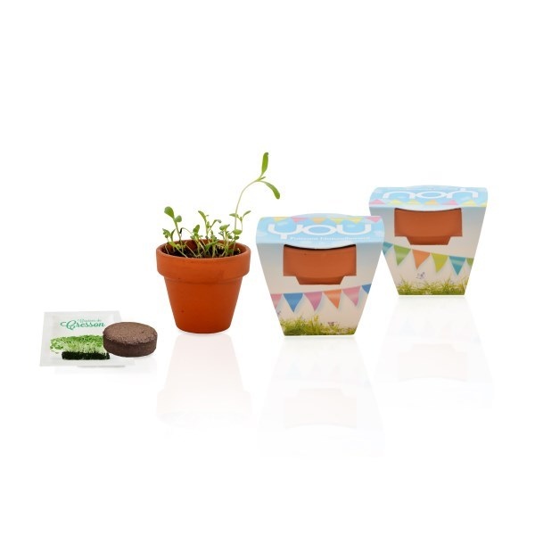 Kit de plantation terre cuite - 4