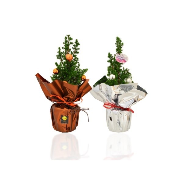 Sapin en pot avec décoration