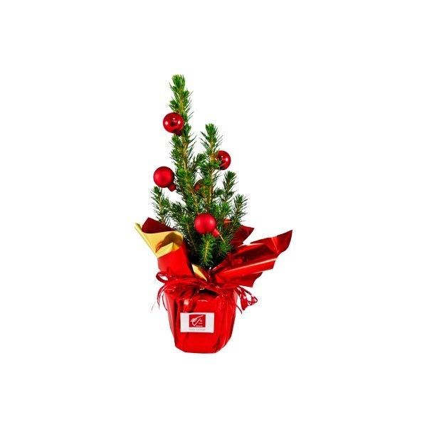 Sapin en pot avec décoration -