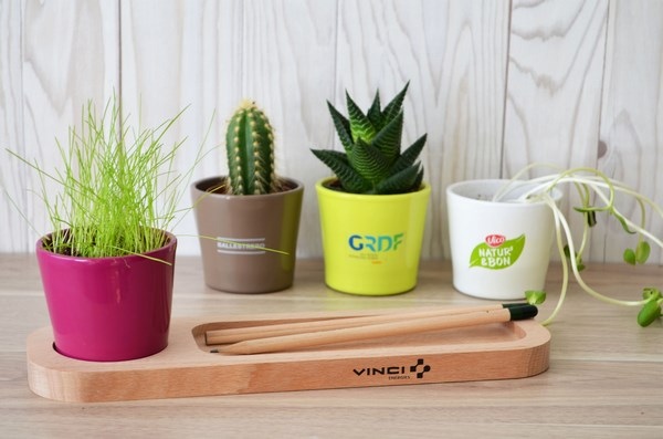 Le Plateau Nature au Bureau - 1