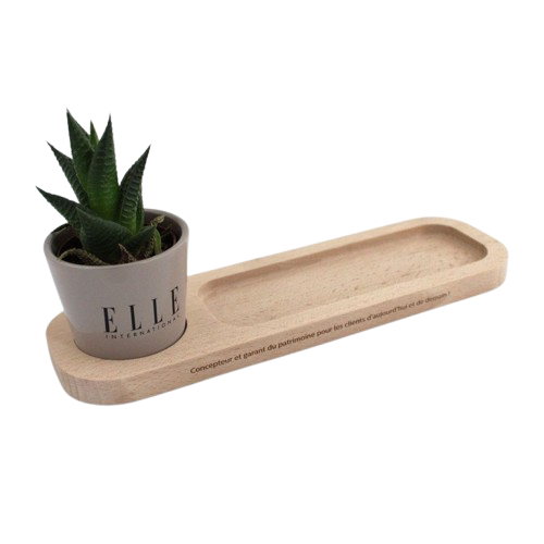Plateau de rangement avec plante pour le bureau - 2
