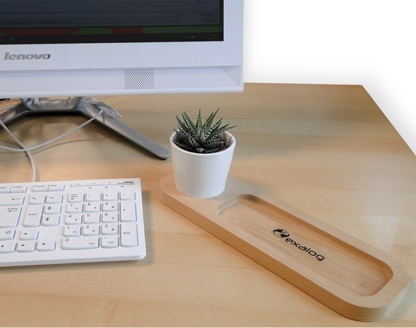 Plateau de rangement avec plante pour le bureau - 4