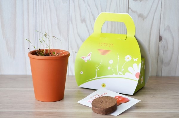 Mallette Kit de plantation - 1