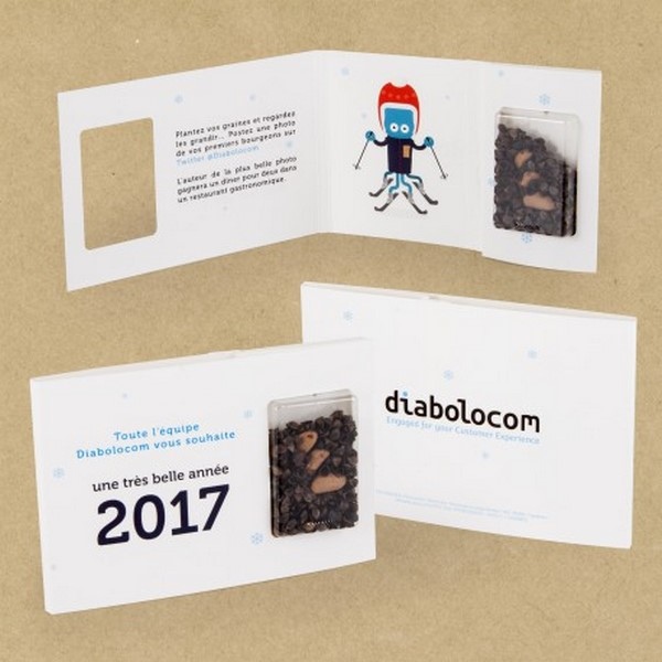 Carte capsule de graines - 1