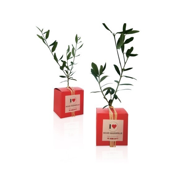 Le Cube arbre Prestige - personnalisable