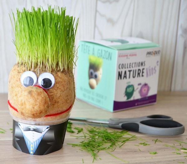 Tête en Herbe - Cube - 1