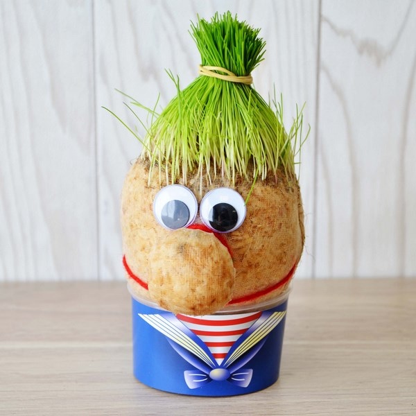 Tête en Herbe - Cube - 2