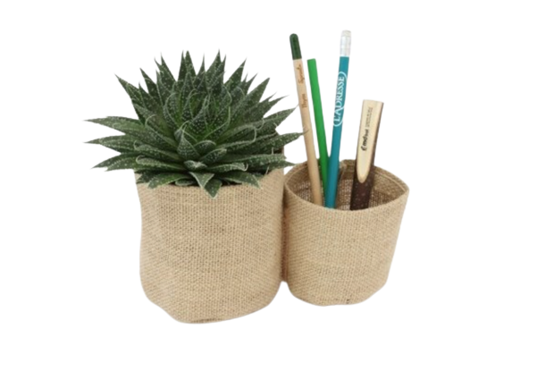 Duo de pot en toile de jute avec plante dépolluante