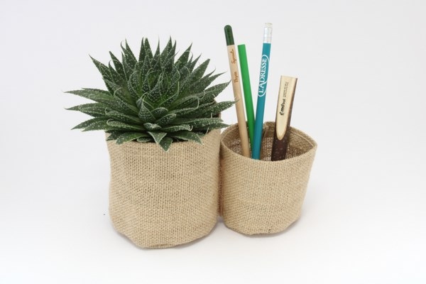 Duo de pot en toile de jute avec plante dépolluante - 1