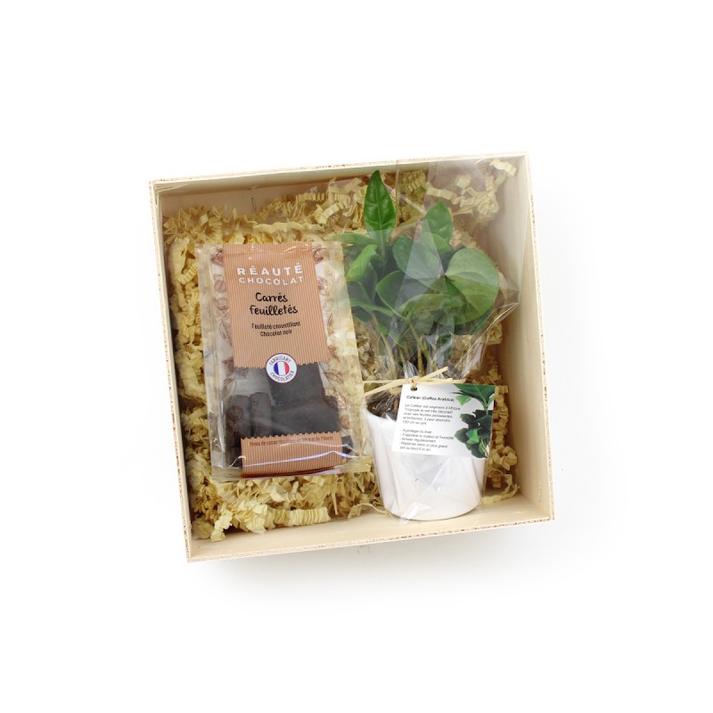 Coffret avec caféier en pot et gourmandise à déguster - 1