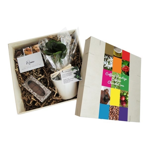 Coffret Caféier -