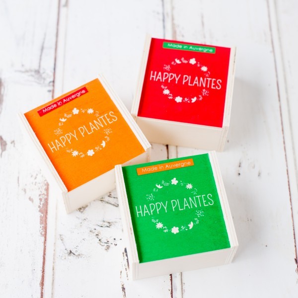 La Détox Infusion bio - Menthe/ortie/Myrtille - 3