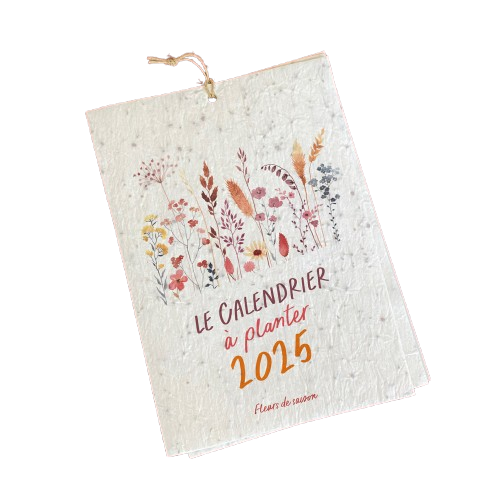 Calendrier papier ensemencé à planter - format A4 - 3