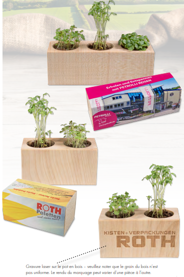 Cube de plantation en bois set de 2 ou 3