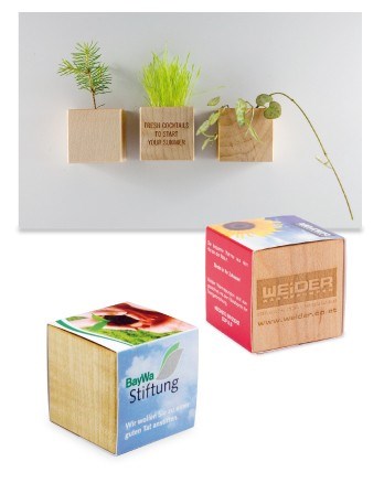 Kit de Plantation Cube Magnetique En Bois
