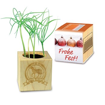 Kit de Plantation Cube Magnetique En Bois -