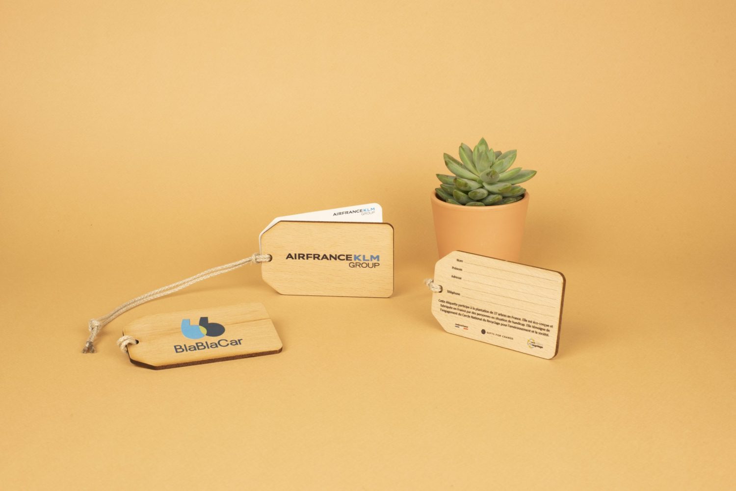 Etiquette de bagage en bois made in France - 1