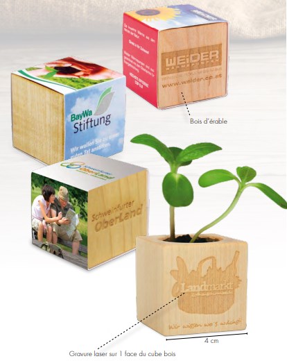 Cube de plantation en bois mini standard